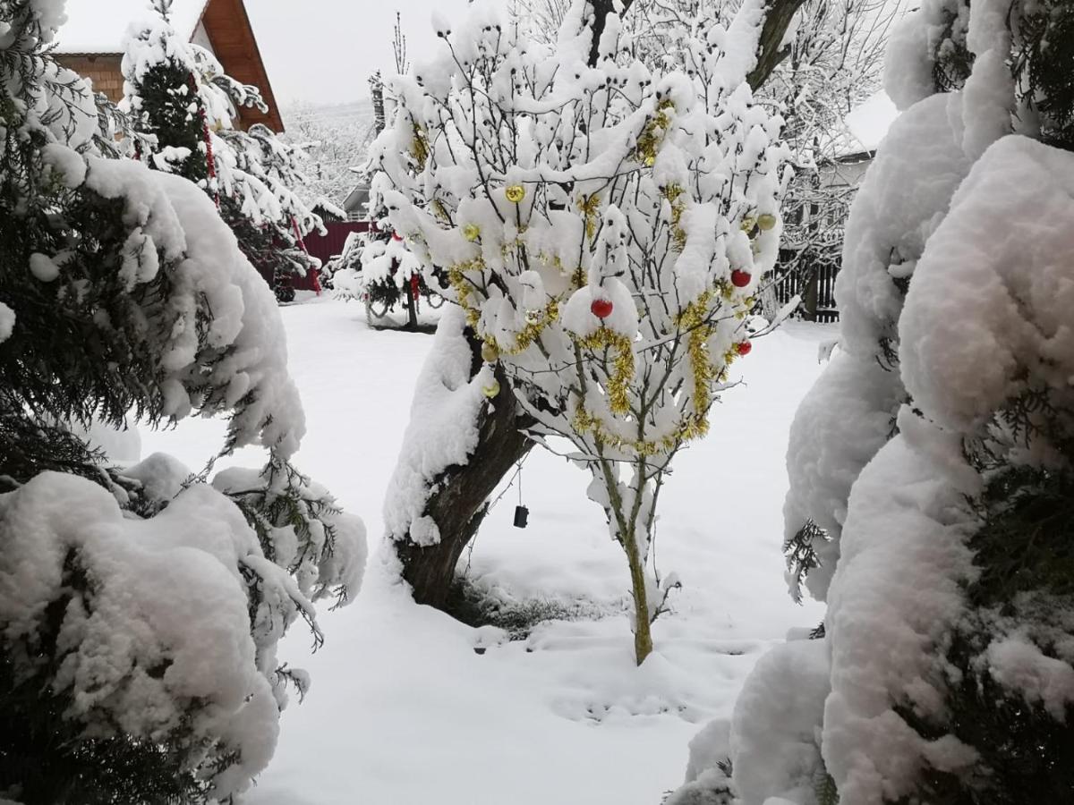 Eden Garden Sovata Villa Exteriör bild